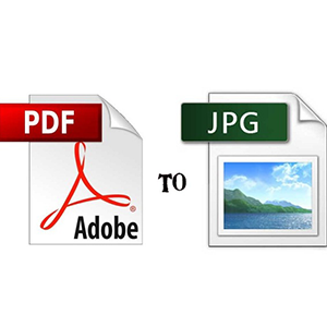 PDF to JPG 1PC
